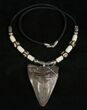 Megalodon Tooth Necklace - tooth #5572-1